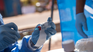 Second-Largest Ebola Outbreak in History Is Finally Over